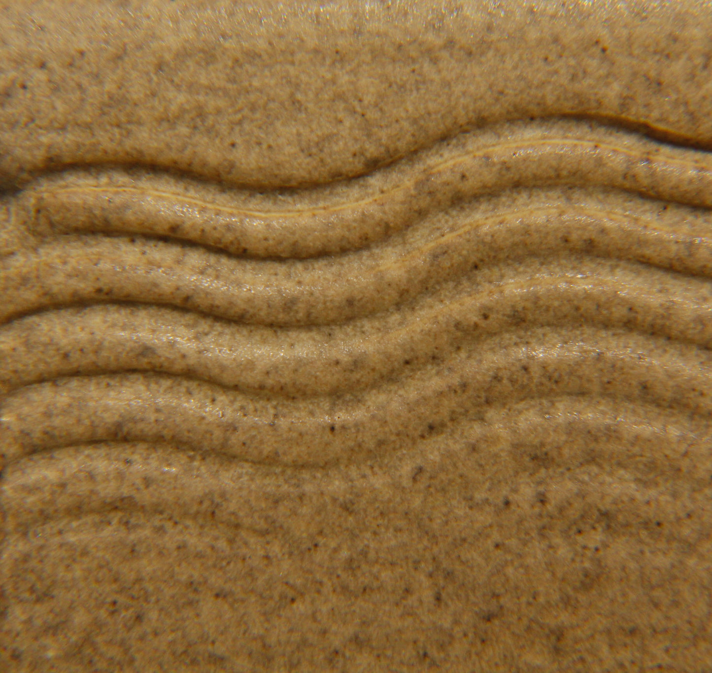 Sandy Beach Matté Brush On Glaze Cone 5-9 Mid Fire Ceramic Pottery Glaze